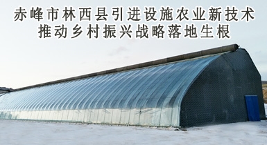 赤峰市林西縣引進設施農(nóng)業(yè)新技術推動鄉(xiāng)村振興戰(zhàn)略落地生根